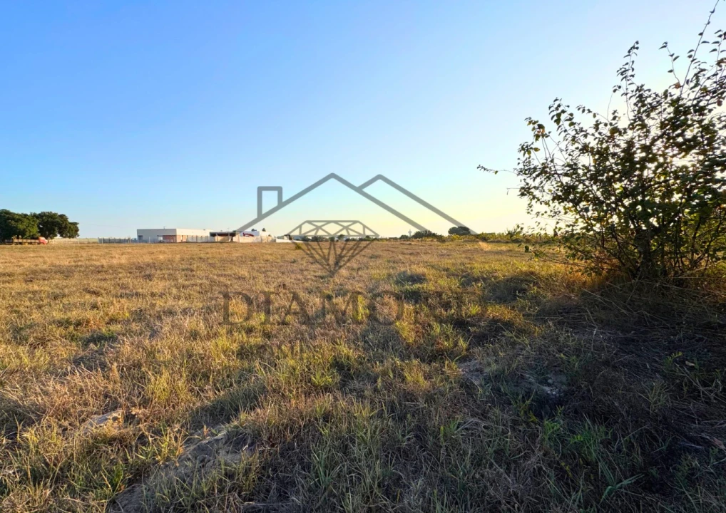 Terreno para Venda em Alpiarça Foto 14