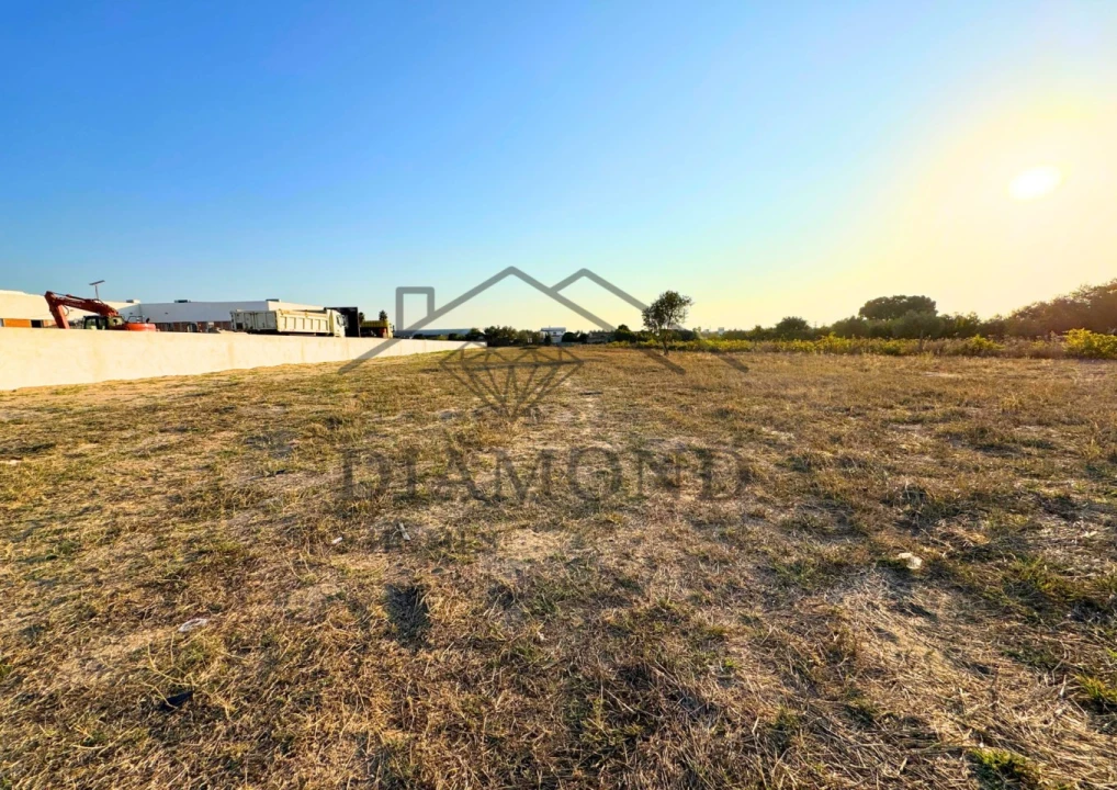 Terreno para Venda em Alpiarça Foto 15