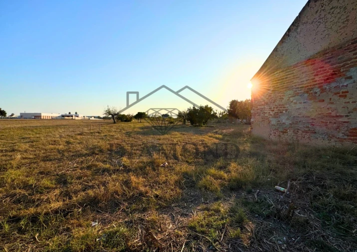 Terreno para Venda em Alpiarça Foto 3