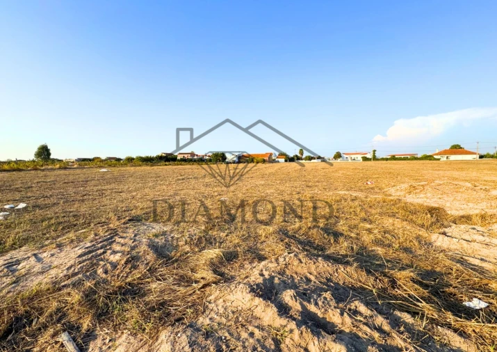 Terreno para Venda em Alpiarça Foto 5