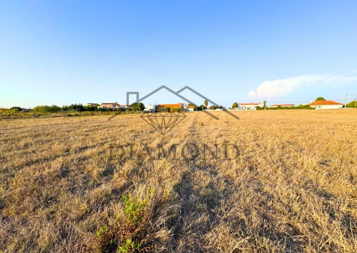 Terreno para Venda em Alpiarça Foto 7
