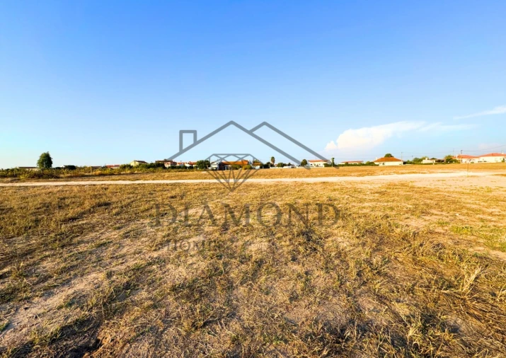 Terreno para Venda em Alpiarça Foto 8