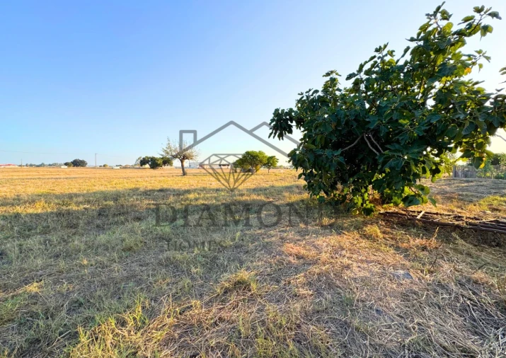 Terreno para Venda em Alpiarça Foto 10