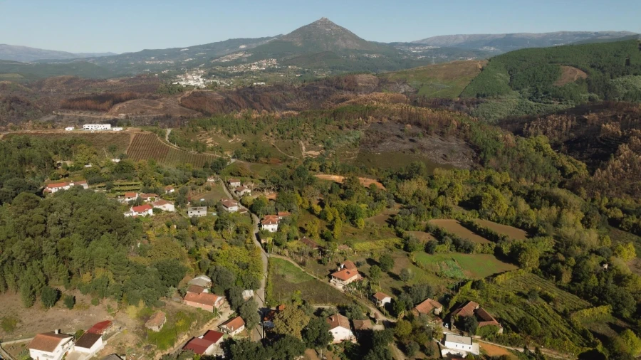 Terreno para Venda em Britelo, Gémeos e Ourilhe Foto 10
