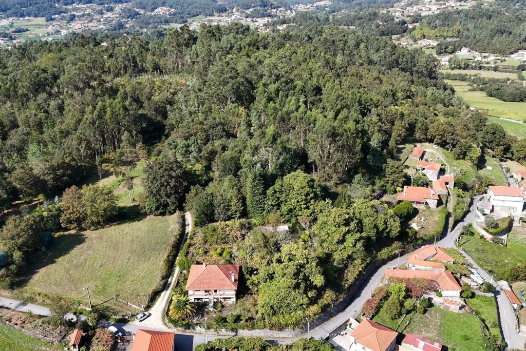 Moradia T3 para Venda em Bico e Cristelo Foto 6