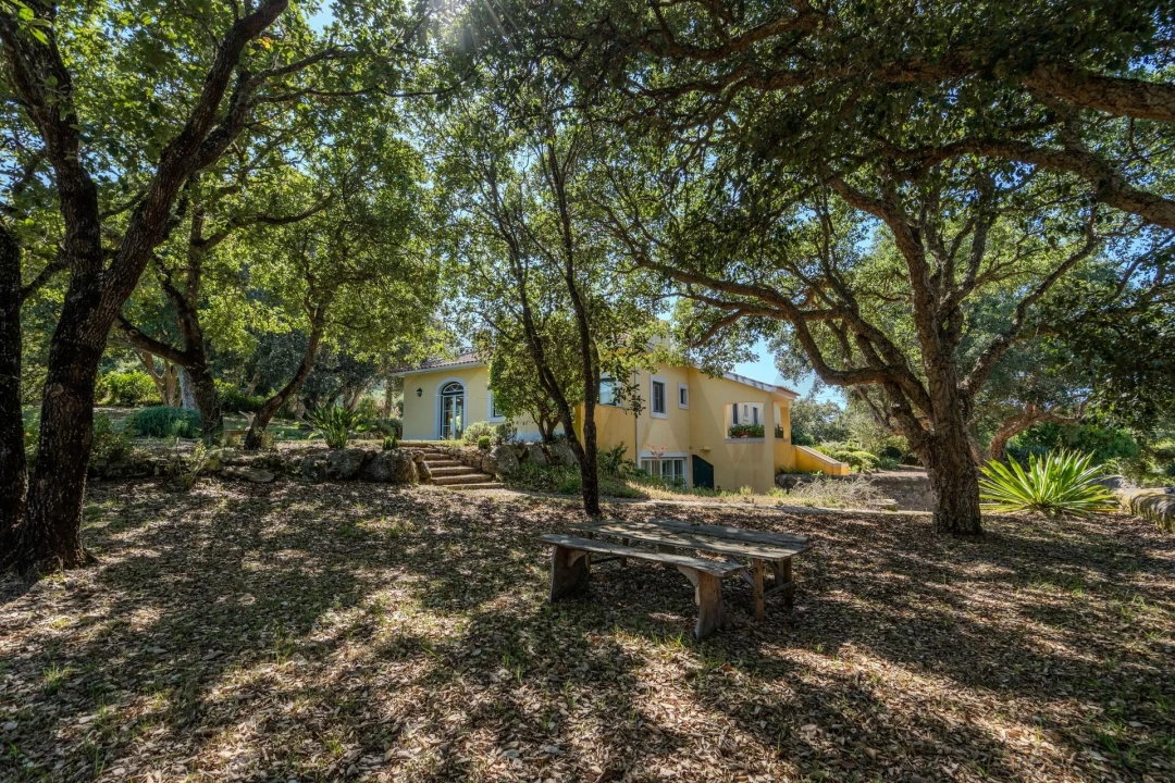 Apartamento T1 para Arrendamento em São João das Lampas e Terrugem Foto 7