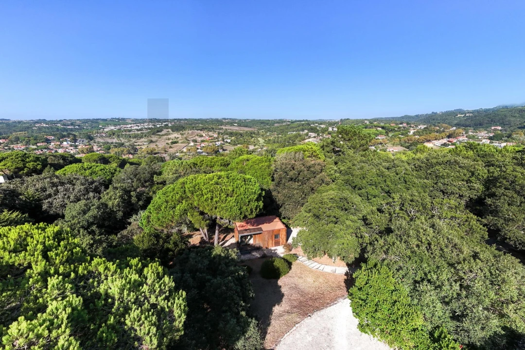 Apartamento T1 para Arrendamento em São João das Lampas e Terrugem Foto 2