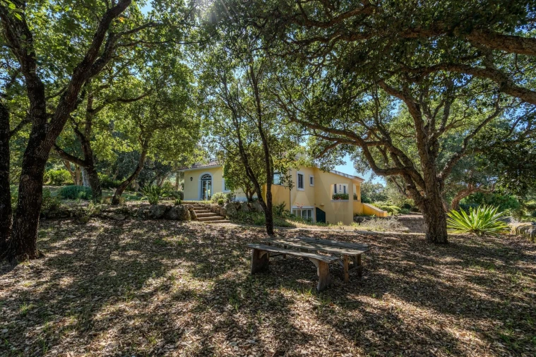 Apartamento T1 para Arrendamento em São João das Lampas e Terrugem Foto 7