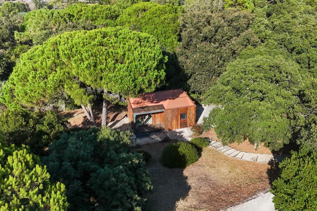 Apartamento T1 para Arrendamento em São João das Lampas e Terrugem Foto 1
