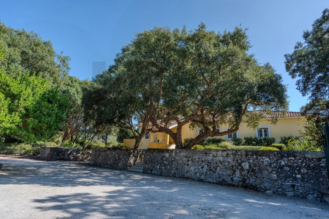 Apartamento T1 para Arrendamento em São João das Lampas e Terrugem Foto 8