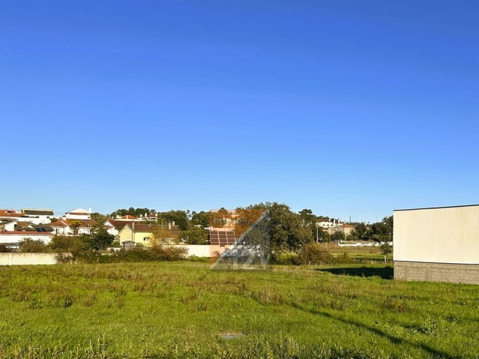 Terreno para Venda em Souto da Carpalhosa e Ortigosa Foto 5