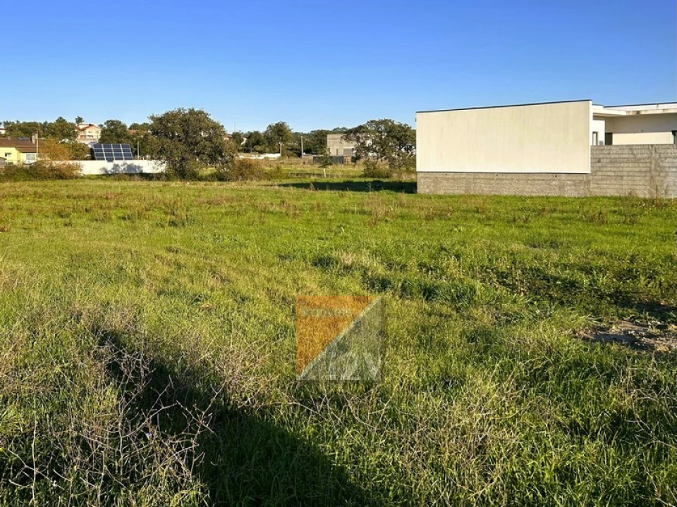 Terreno para Venda em Souto da Carpalhosa e Ortigosa Foto 6