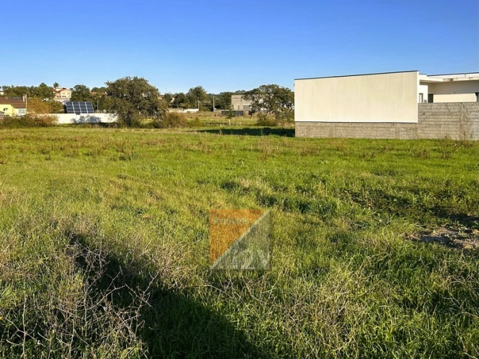 Terreno para Venda em Souto da Carpalhosa e Ortigosa Foto 6