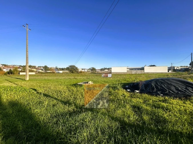 Terreno para Venda em Souto da Carpalhosa e Ortigosa Foto 8