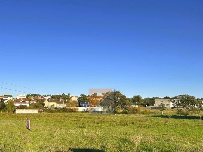 Terreno para Venda em Souto da Carpalhosa e Ortigosa Foto 9