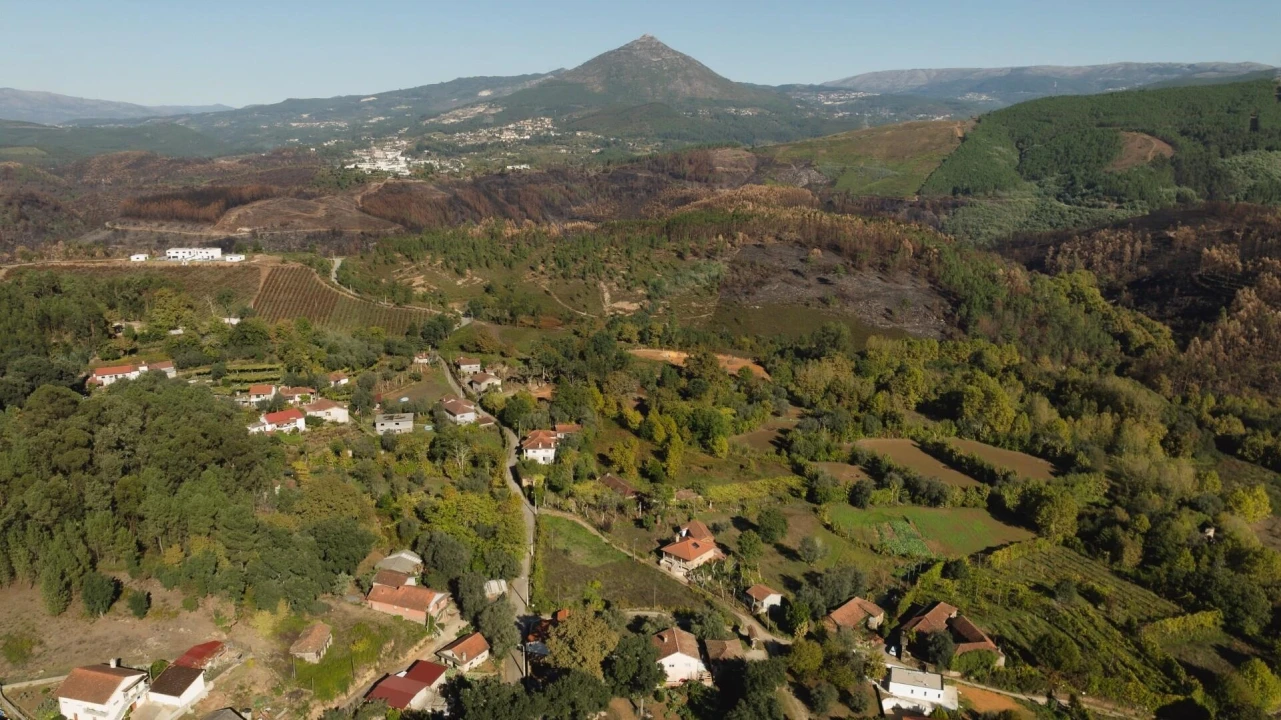 Terreno para Venda em Britelo, Gémeos e Ourilhe Foto 9