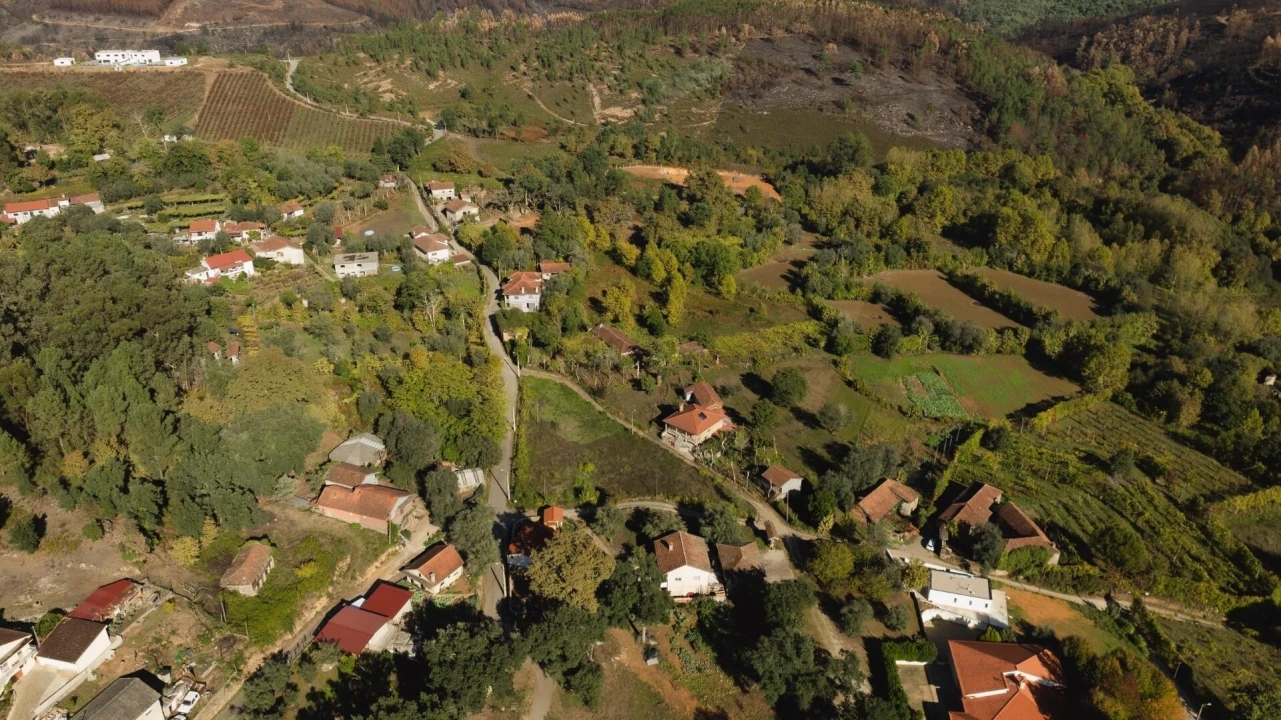 Terreno para Venda em Britelo, Gémeos e Ourilhe Foto 8