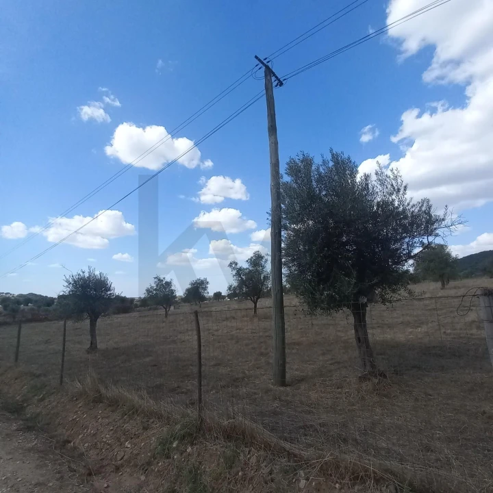 Terreno para Venda em Santiago do Escoural Foto 5