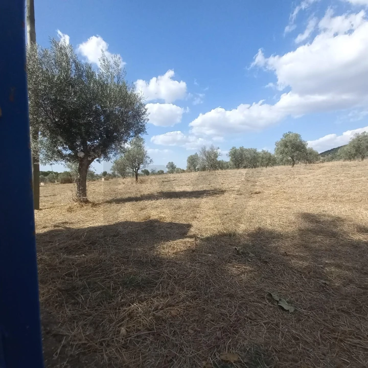 Terreno para Venda em Santiago do Escoural Foto 44