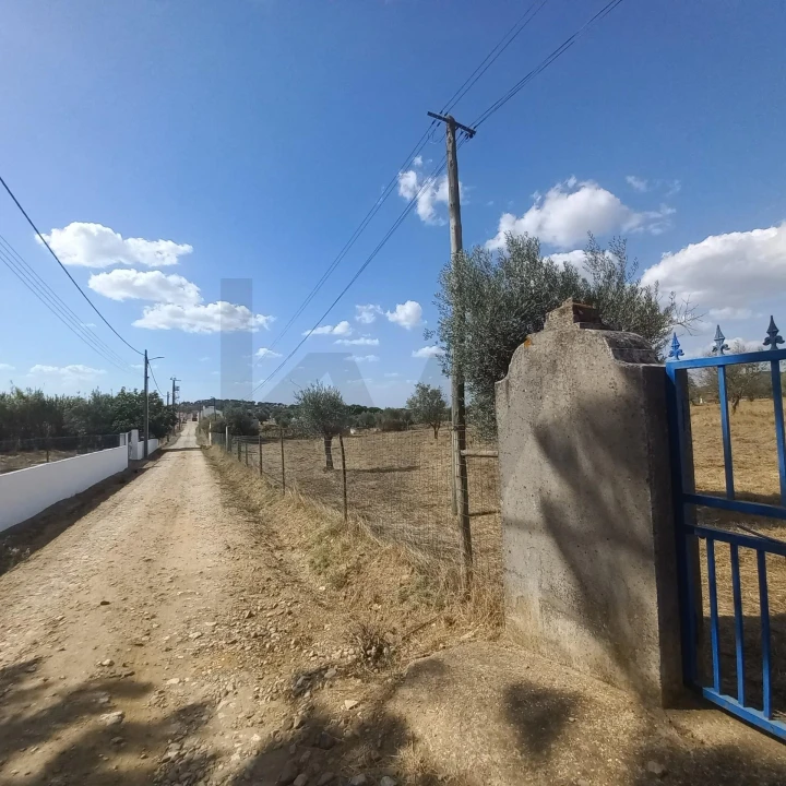 Terreno para Venda em Santiago do Escoural Foto 47