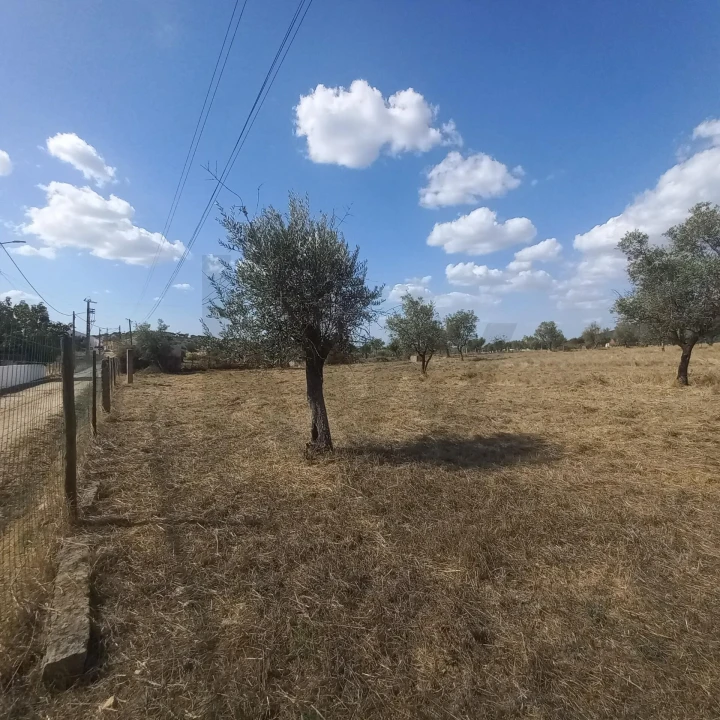 Terreno para Venda em Santiago do Escoural Foto 11