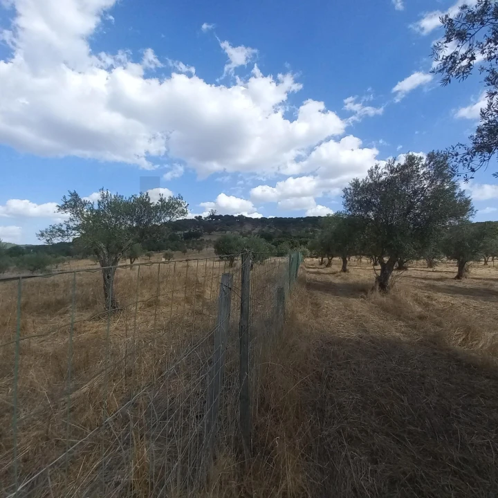 Terreno para Venda em Santiago do Escoural Foto 27