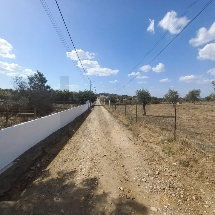 Terreno para Venda em Santiago do Escoural Foto 45