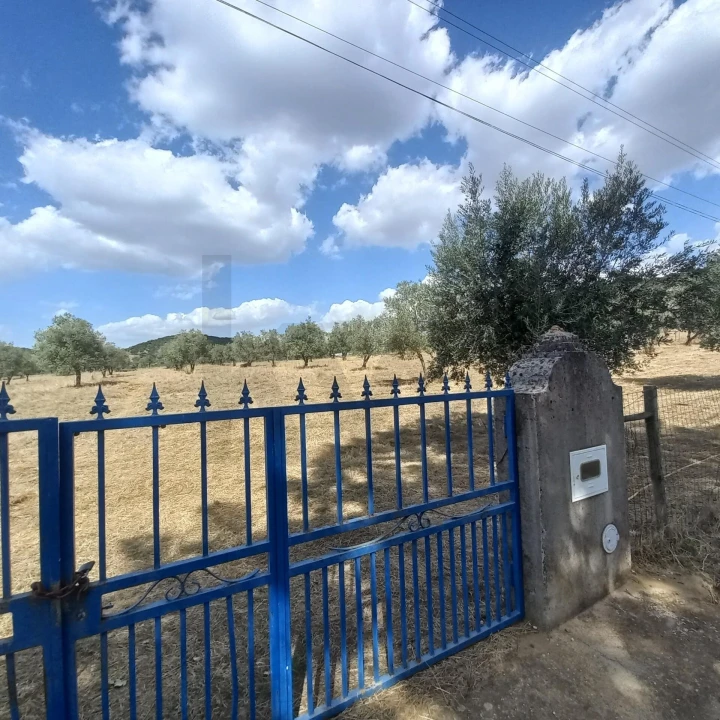 Terreno para Venda em Santiago do Escoural Foto 48