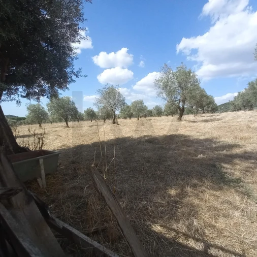 Terreno para Venda em Santiago do Escoural Foto 35