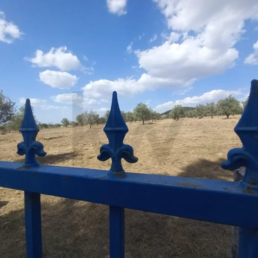 Terreno para Venda em Santiago do Escoural Foto 44