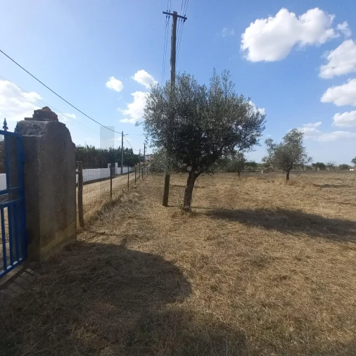 Terreno para Venda em Santiago do Escoural Foto 8