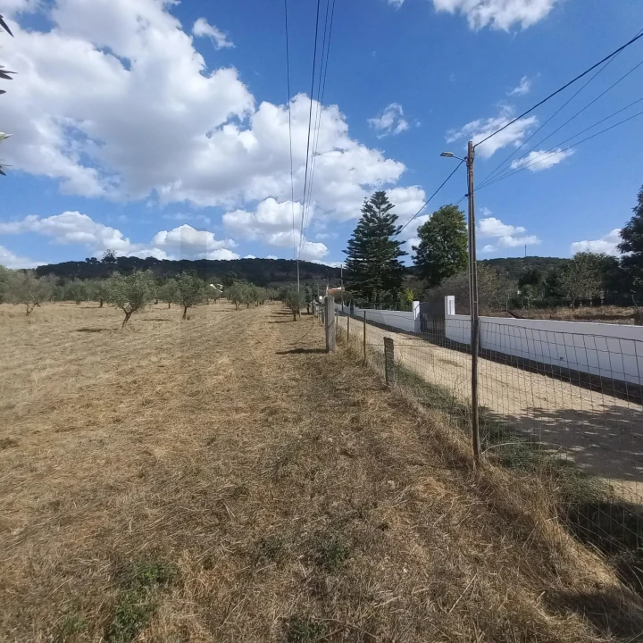 Terreno para Venda em Santiago do Escoural Foto 15