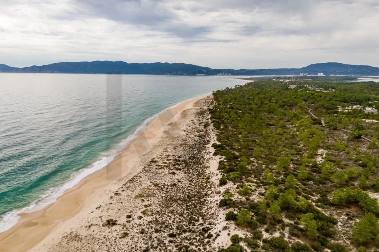 Moradia T3 para Venda em Carvalhal Foto 107