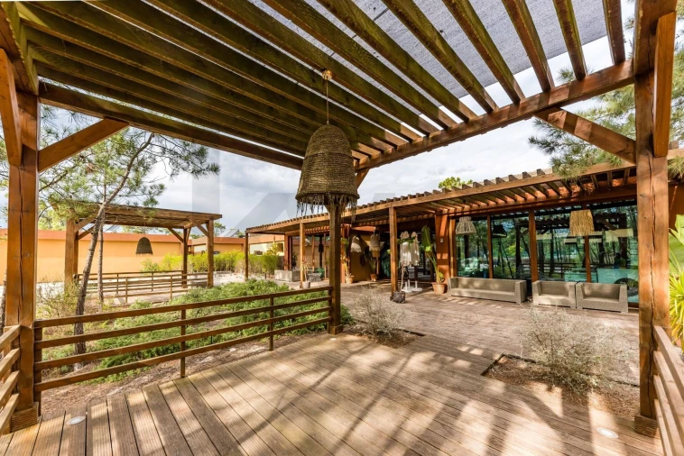 Moradia T3 para Venda em Carvalhal Foto 71