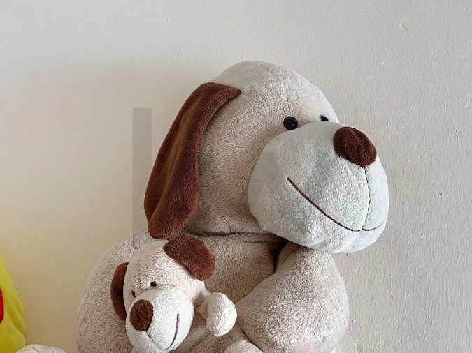 Moradia T3 para Venda em Esmoriz Foto 24