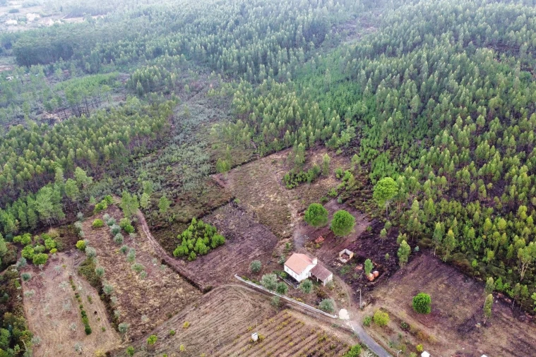 Moradia T2 para Venda em Mação, Penhascoso e Aboboreira Foto 3