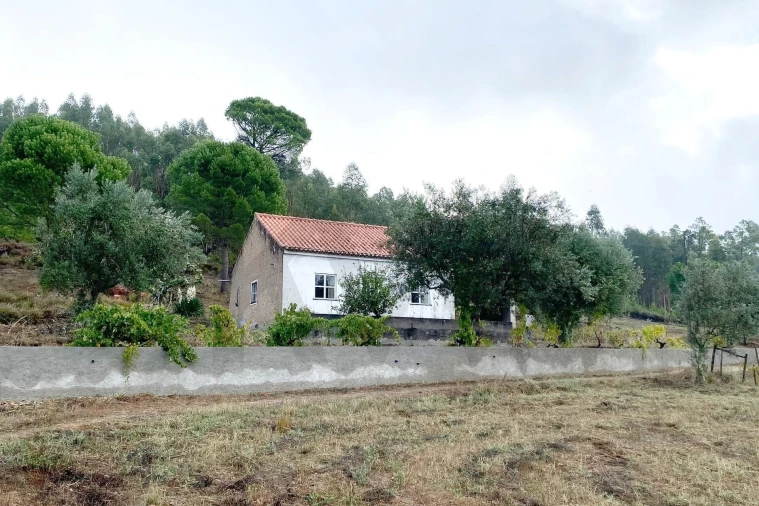 Moradia T2 para Venda em Mação, Penhascoso e Aboboreira Foto 4