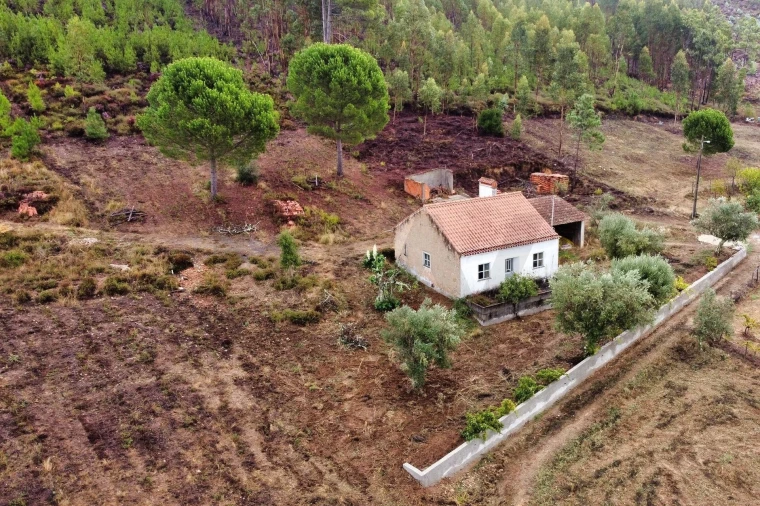 Moradia T2 para Venda em Mação, Penhascoso e Aboboreira Foto 18