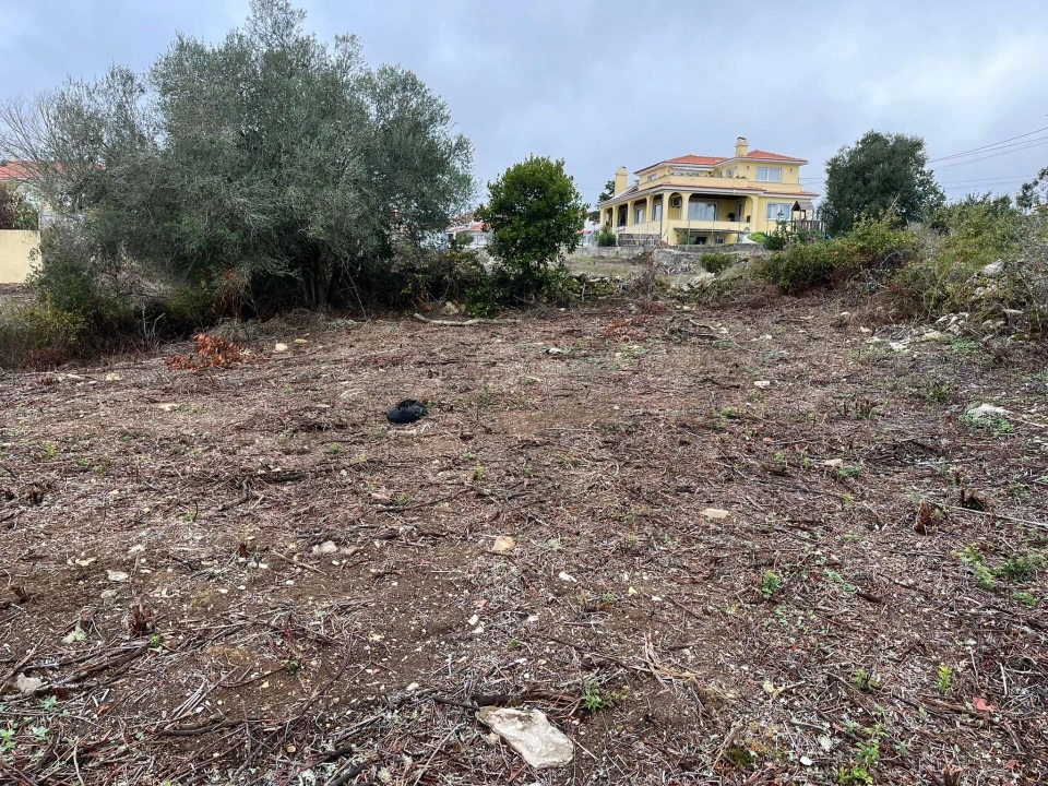 Terreno para Venda em Santa Maria e São Miguel, São Martinho, São Pedro Penaferrim Foto 6