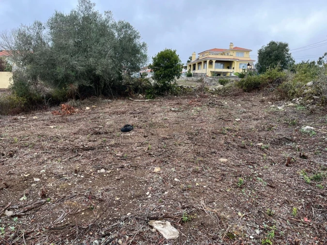 Terreno para Venda em Santa Maria e São Miguel, São Martinho, São Pedro Penaferrim Foto 6