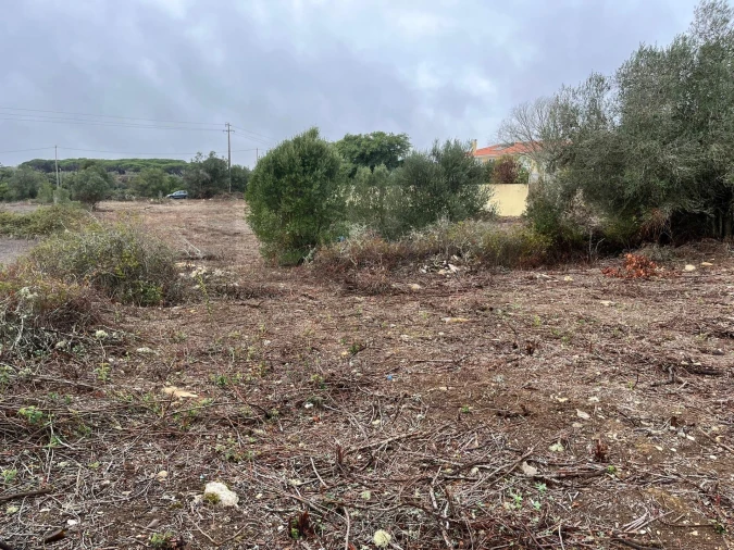 Terreno para Venda em Santa Maria e São Miguel, São Martinho, São Pedro Penaferrim Foto 4