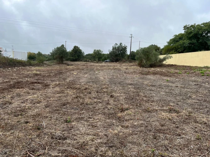 Terreno para Venda em Santa Maria e São Miguel, São Martinho, São Pedro Penaferrim Foto 8