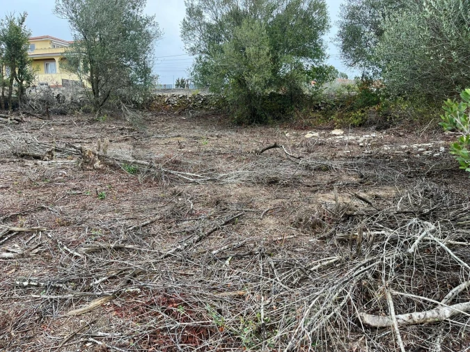 Terreno para Venda em Santa Maria e São Miguel, São Martinho, São Pedro Penaferrim Foto 3
