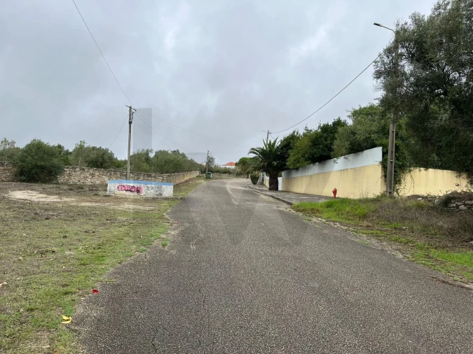 Terreno para Venda em Santa Maria e São Miguel, São Martinho, São Pedro Penaferrim Foto 1
