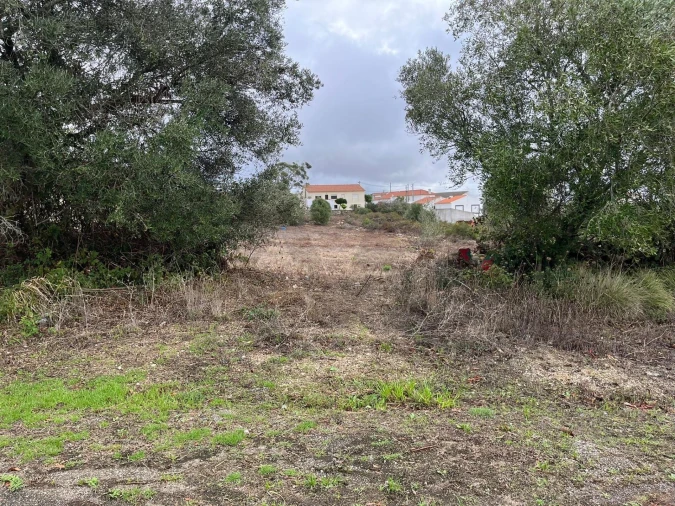 Terreno para Venda em Santa Maria e São Miguel, São Martinho, São Pedro Penaferrim Foto 2