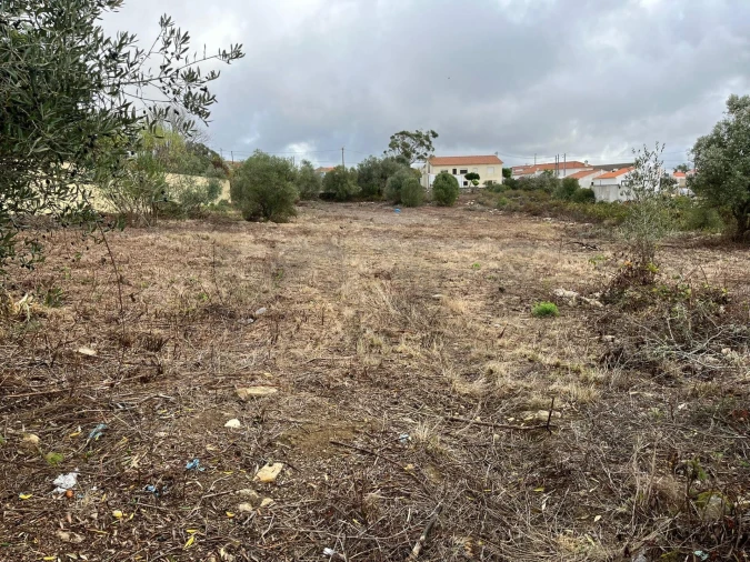 Terreno para Venda em Santa Maria e São Miguel, São Martinho, São Pedro Penaferrim Foto 7