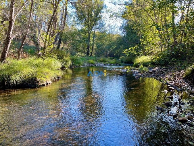 Terreno para Venda em Sarzedas