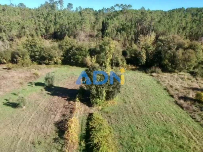 Terreno para Venda em Sarzedas Foto 8