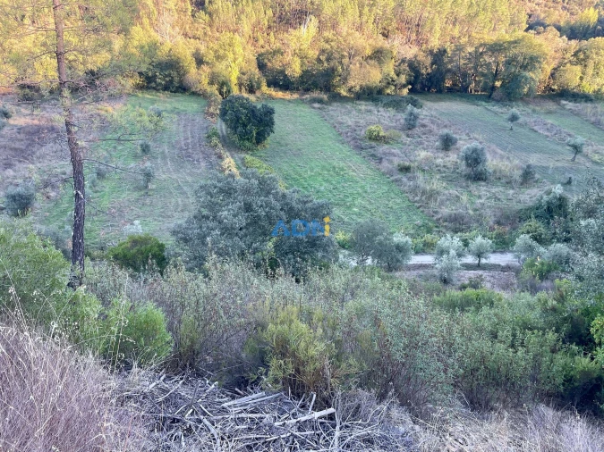 Terreno para Venda em Sarzedas Foto 15