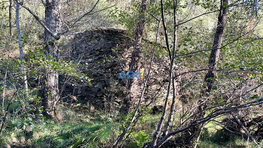 Terreno para Venda em Sarzedas Foto 4